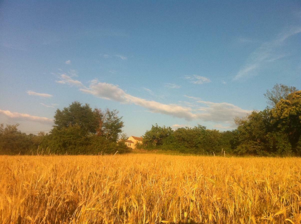Vižinada Tenuta Paljari מראה חיצוני תמונה